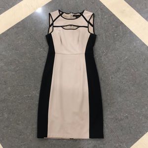 BCBG Maxazaria dress